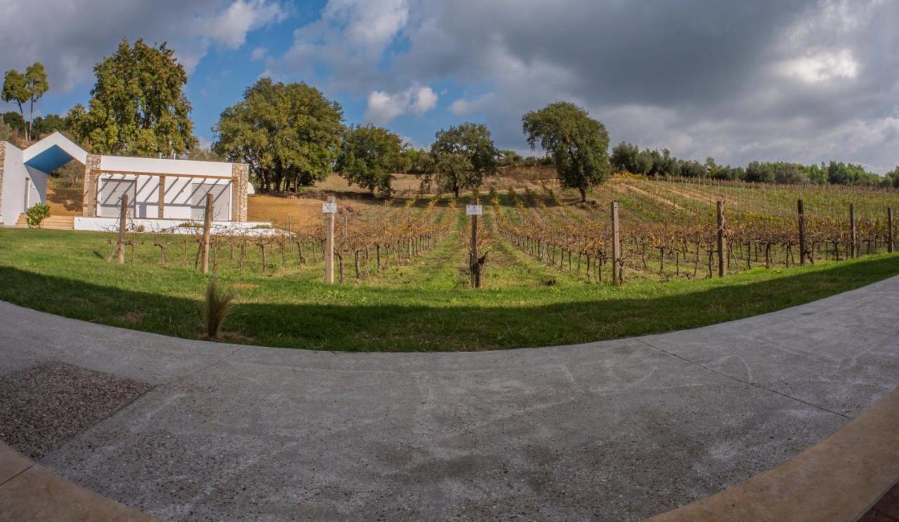 Apartamento Atrium Vinea Brintziki Winery Smila Exterior foto