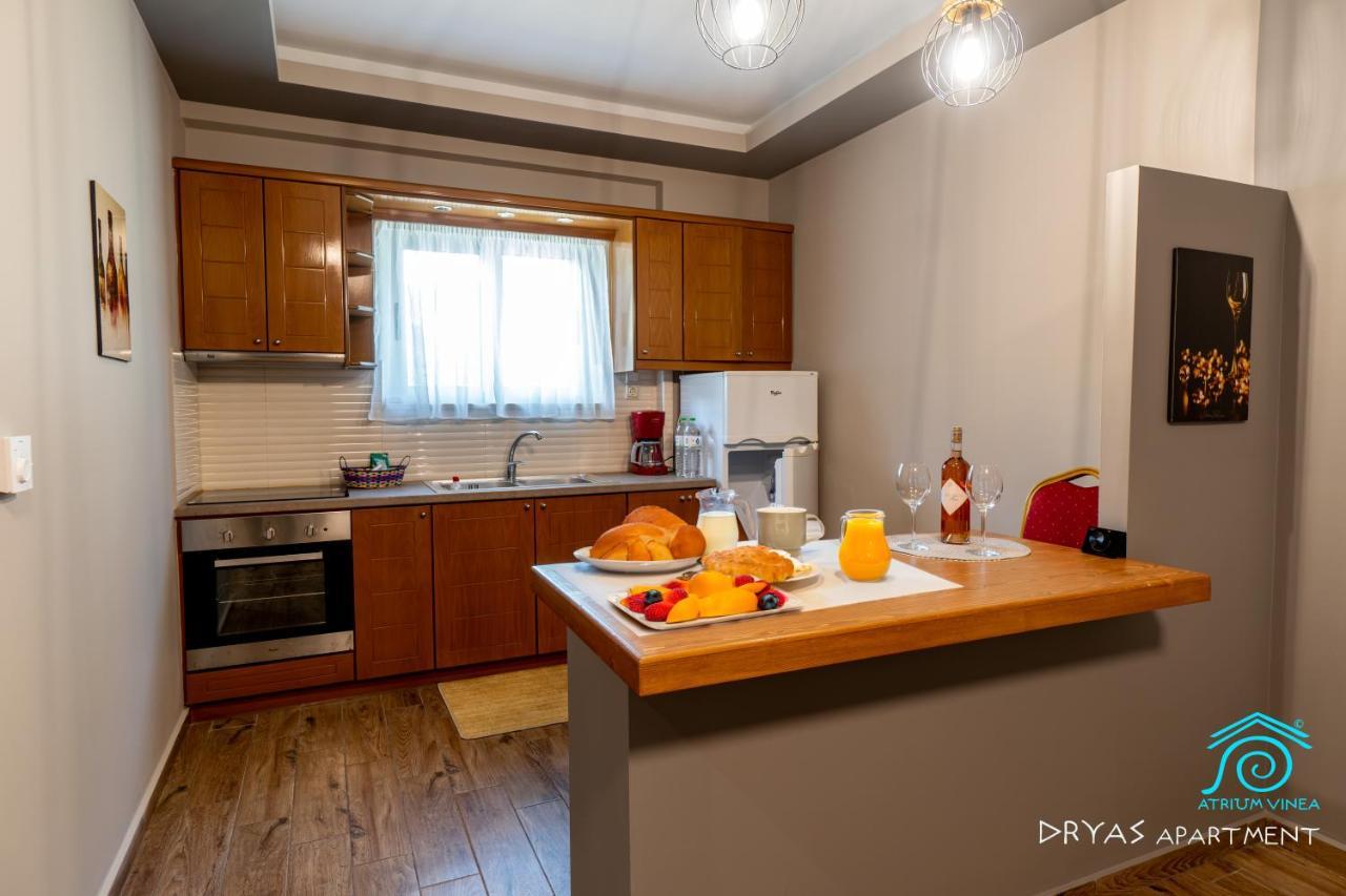 Apartamento Atrium Vinea Brintziki Winery Smila Exterior foto
