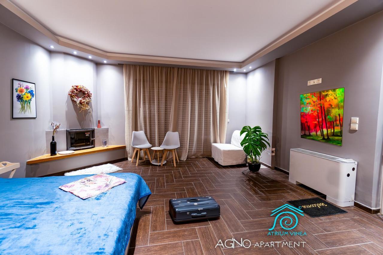 Apartamento Atrium Vinea Brintziki Winery Smila Exterior foto