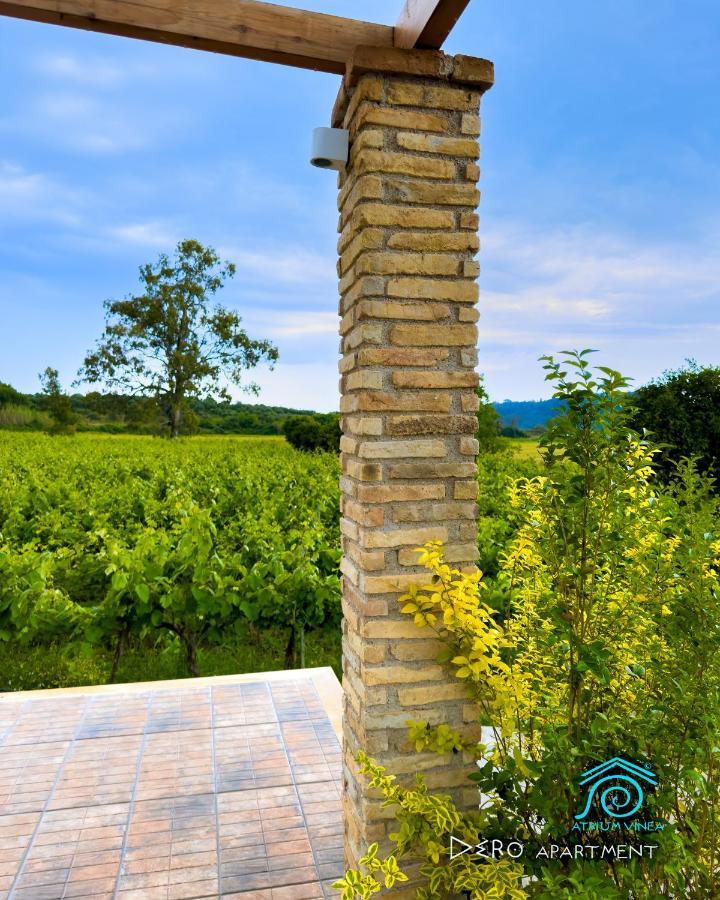 Apartamento Atrium Vinea Brintziki Winery Smila Exterior foto